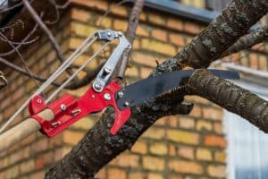 Garden saw for cutting branches