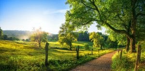 A sunlit countryside landscape with green meadows, scattered trees, rolling hills, and a dirt path winding through the field.
